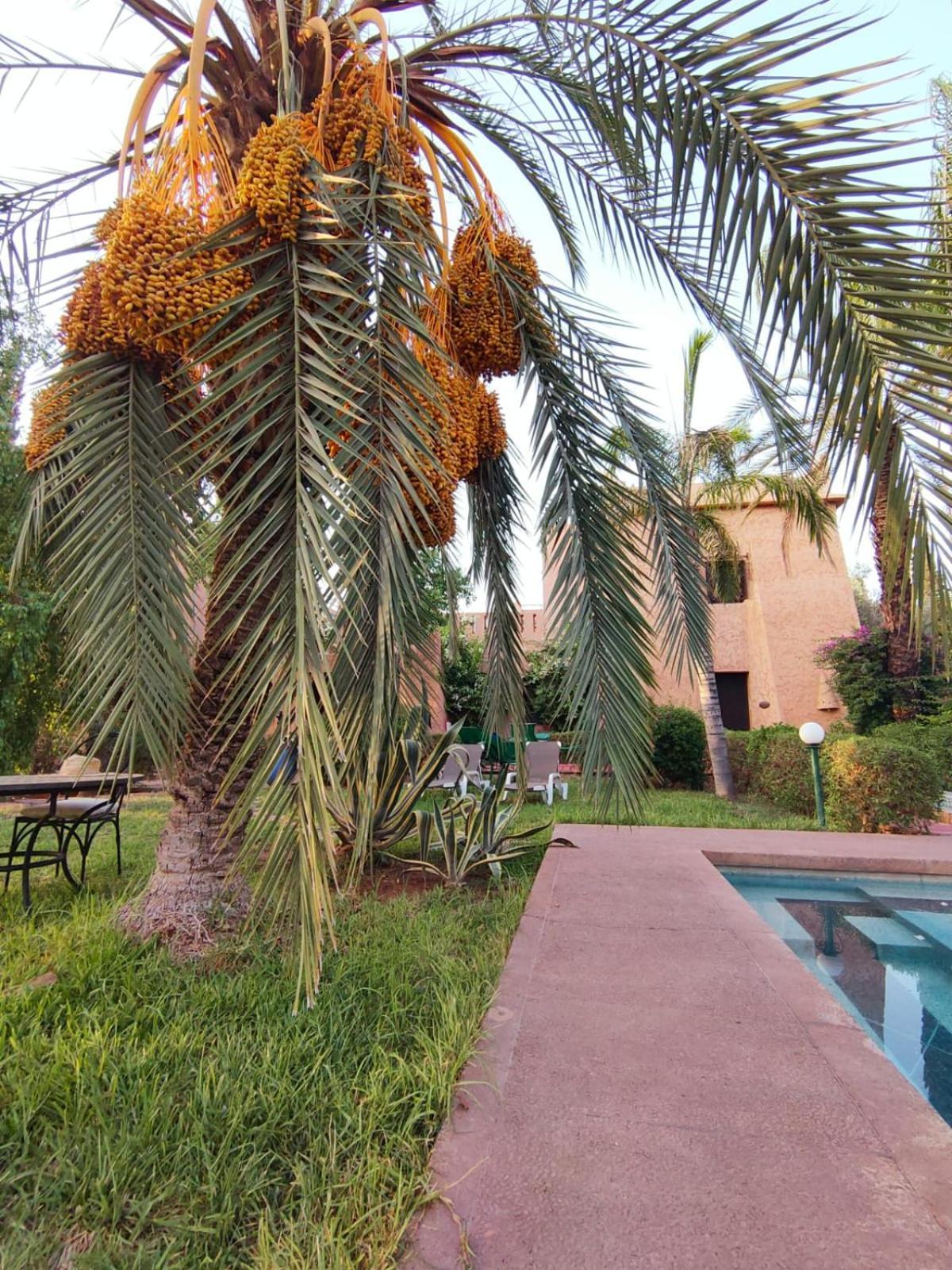 Riad Sheherazade Marrakech Marrakesh Exteriör bild