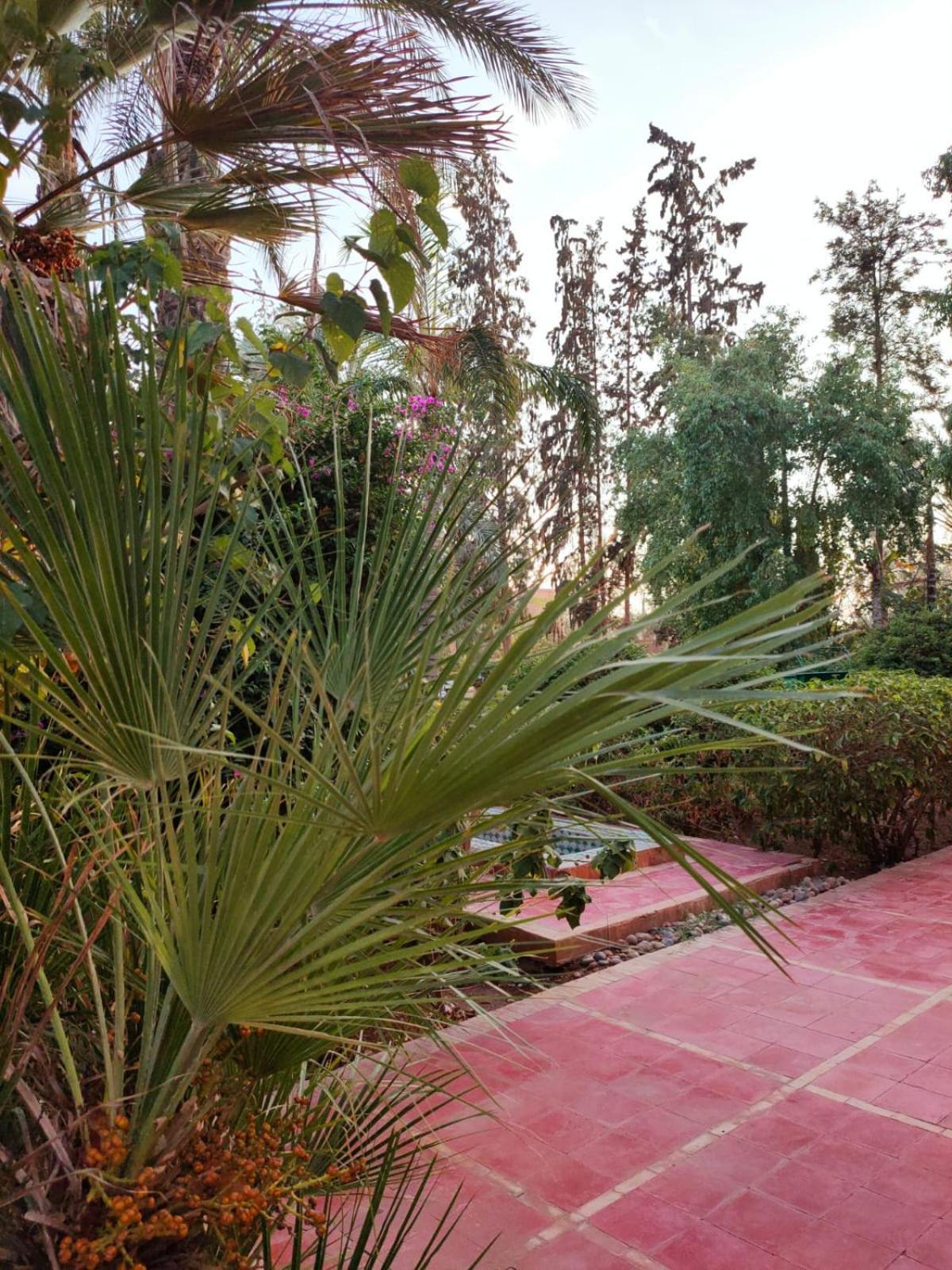 Riad Sheherazade Marrakech Marrakesh Exteriör bild