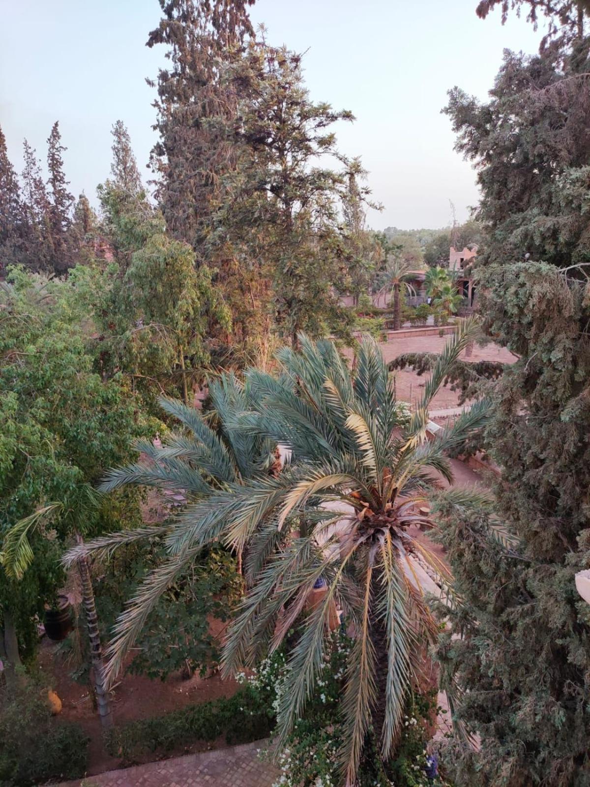 Riad Sheherazade Marrakech Marrakesh Exteriör bild