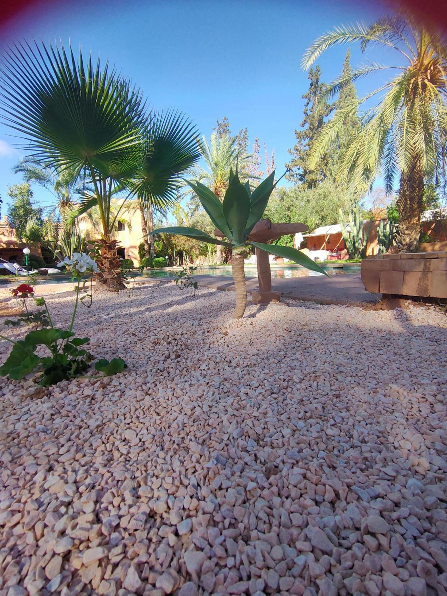 Riad Sheherazade Marrakech Marrakesh Rum bild